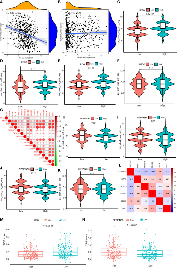 Figure 10