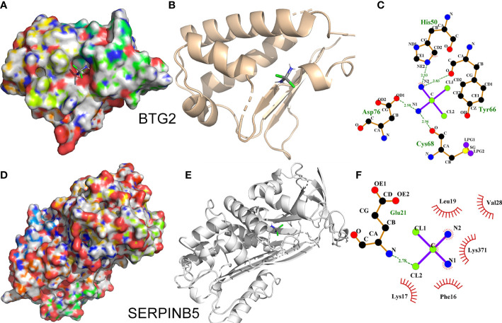 Figure 12