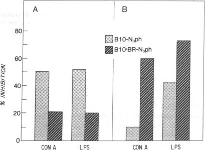 graphic file with name pnas00025-0437-a.jpg