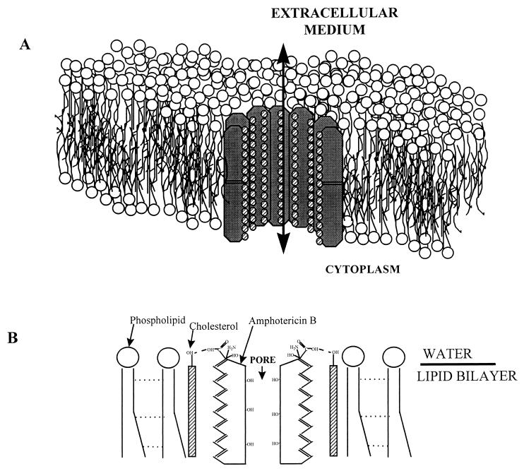 FIG. 5