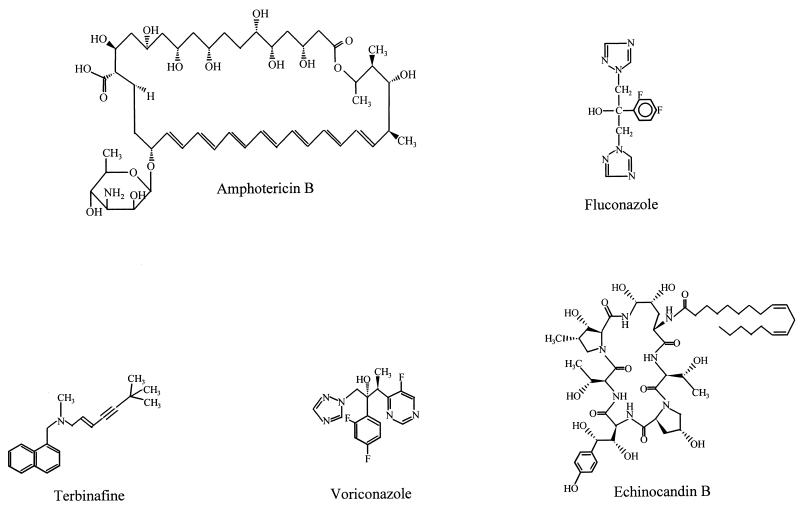 FIG. 1