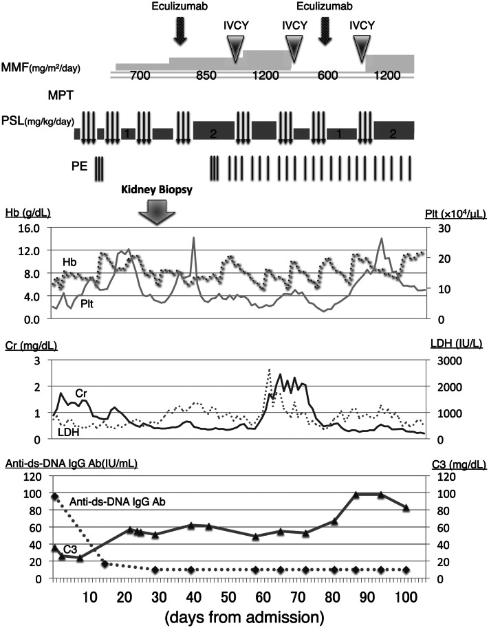 Fig. 1