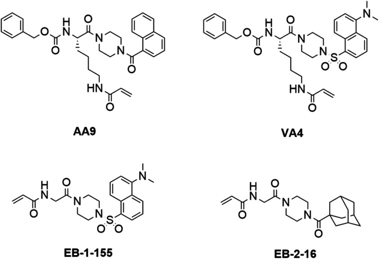 Fig. 1