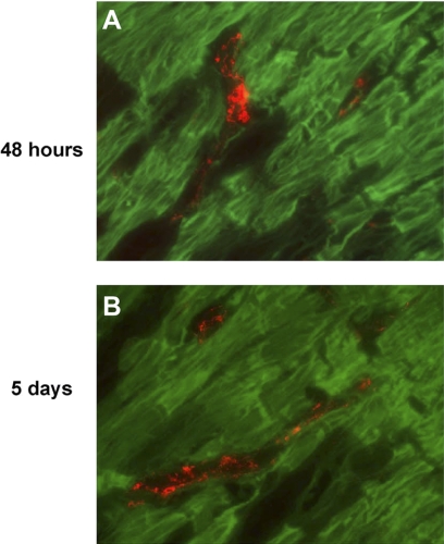 Fig. 6.