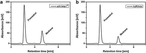 Fig. 4