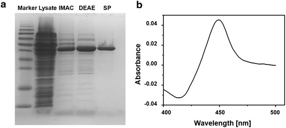 Fig. 1