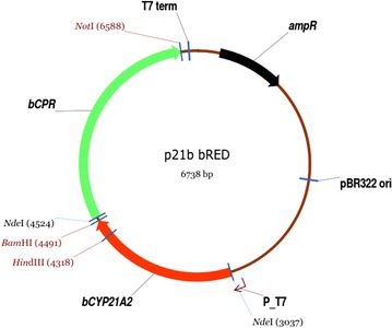 Fig. 3