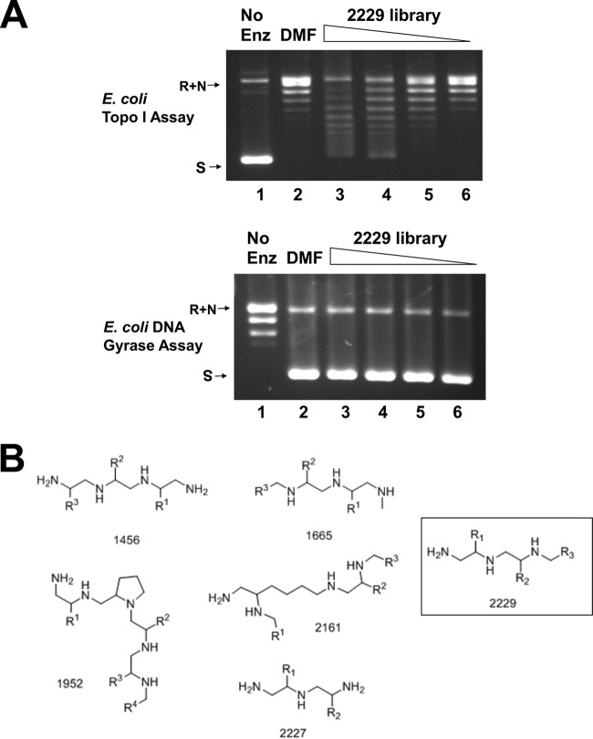 FIG 1