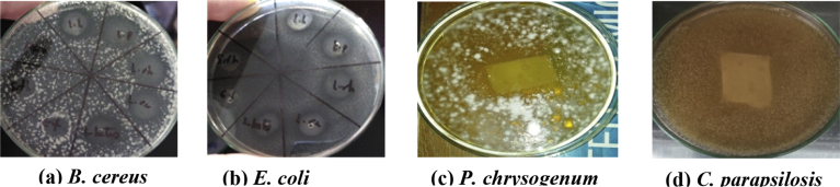 Fig. 2