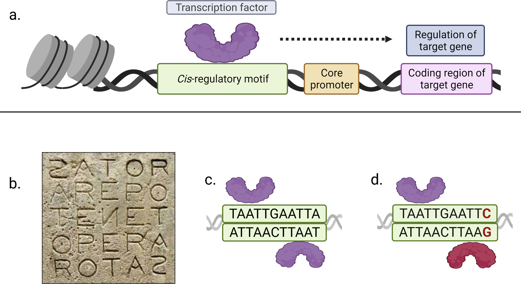 Figure 1.