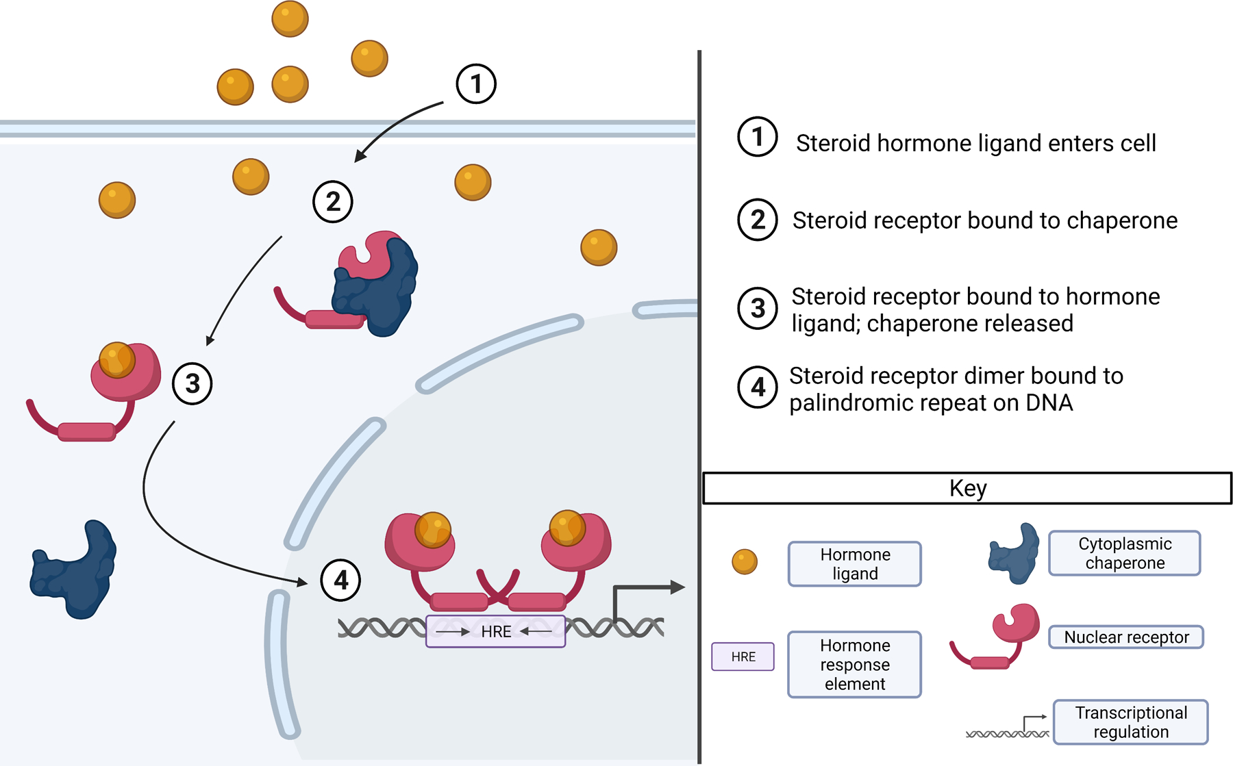 Figure 3.