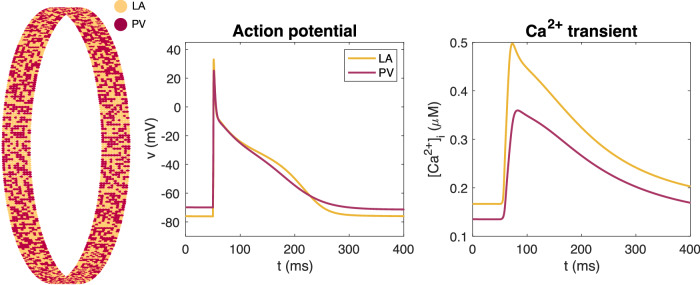 Fig. 10