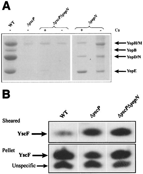 FIG. 5.