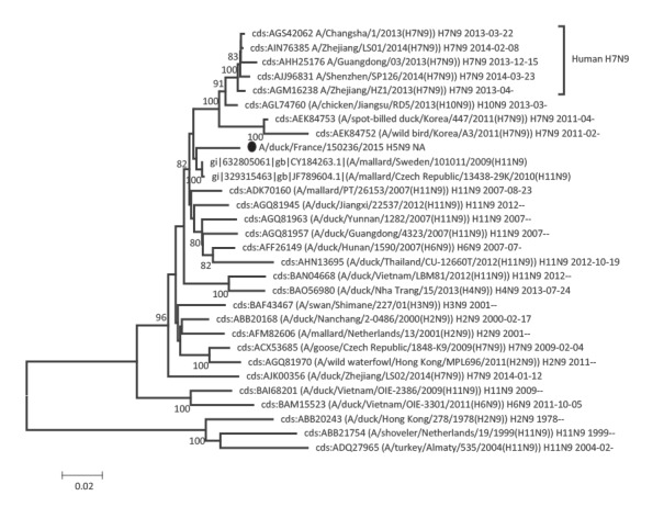 Figure 4