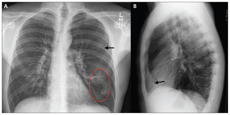 Figure 1: