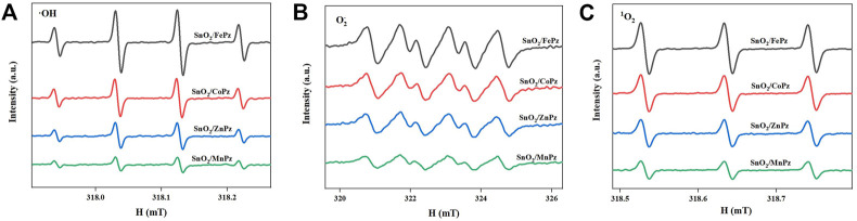 FIGURE 11