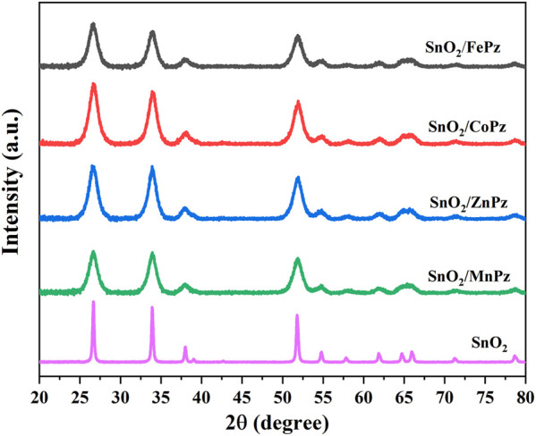 FIGURE 1