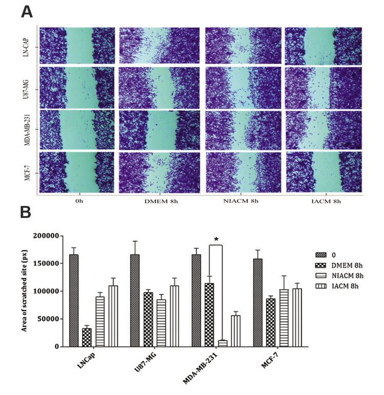 Fig.3