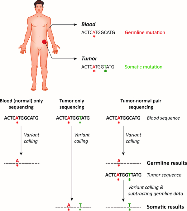 Figure 3: