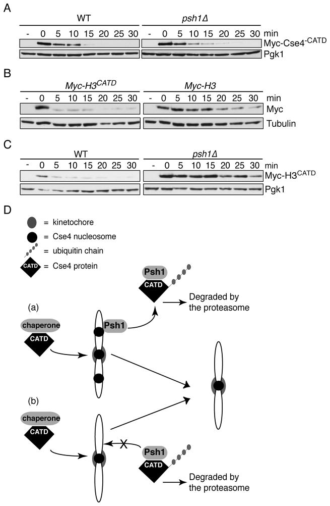 Fig 7