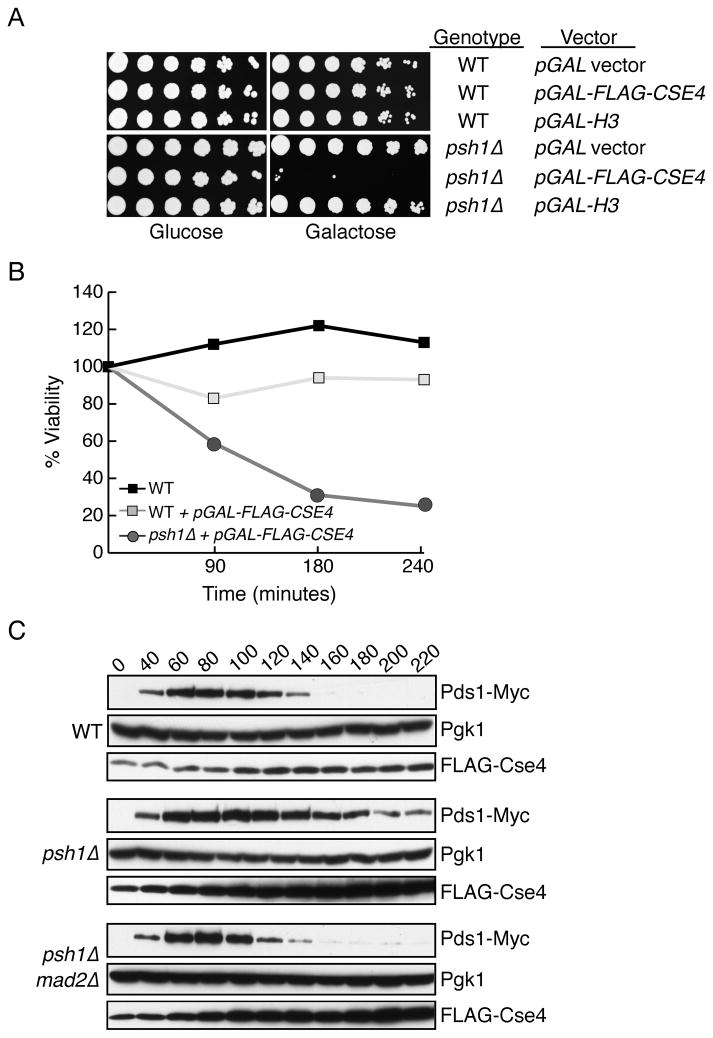 Fig 5