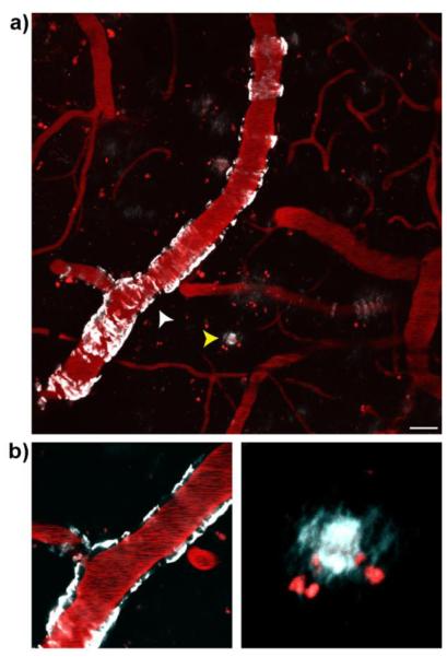 Fig.3