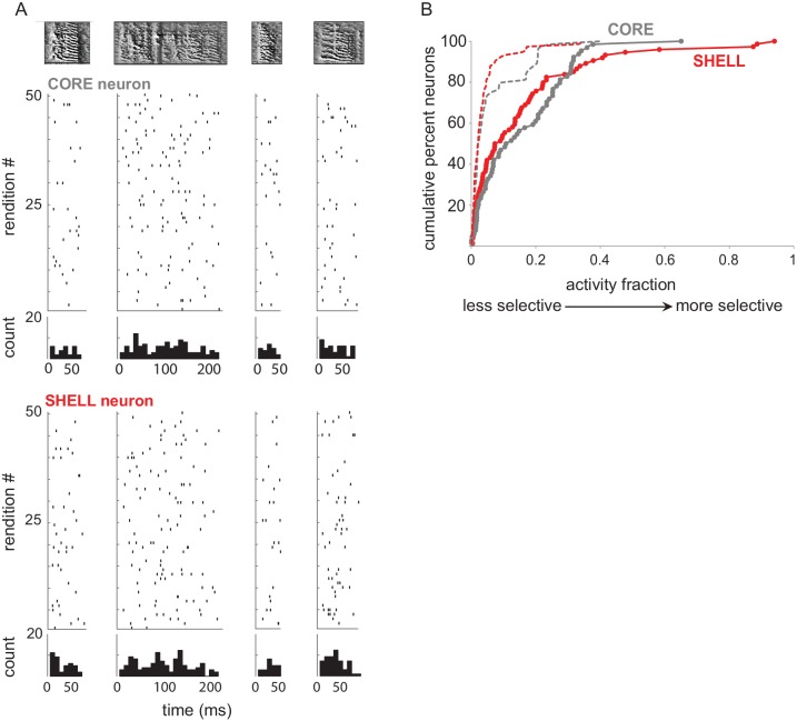 Figure 2—figure supplement 2.