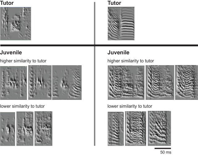 Figure 10—figure supplement 1.