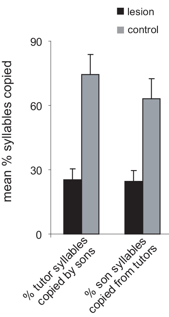 Figure 1—figure supplement 1.