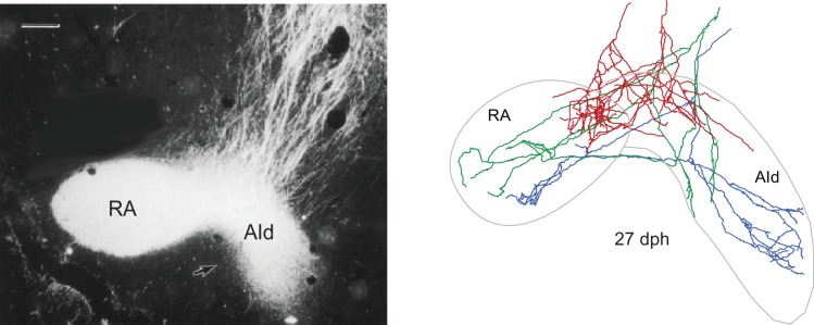 Figure 1—figure supplement 3.