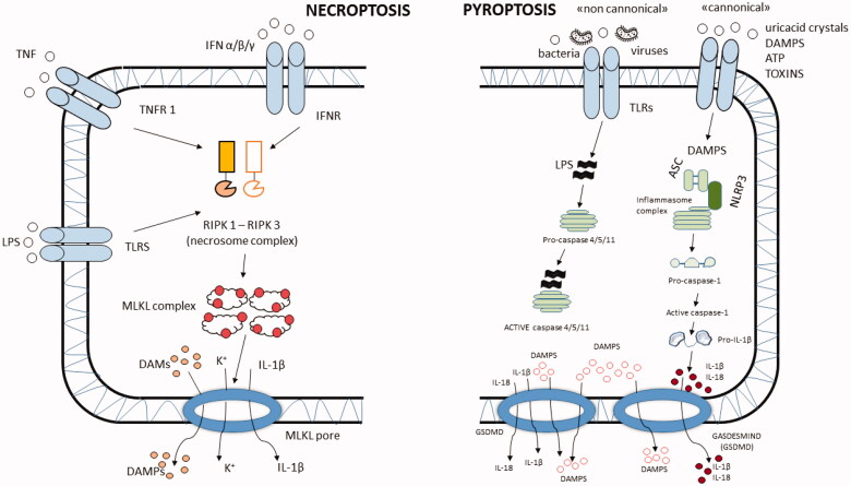 Figure 2.