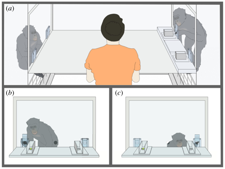 Figure 3. 