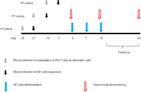 Fig. 1