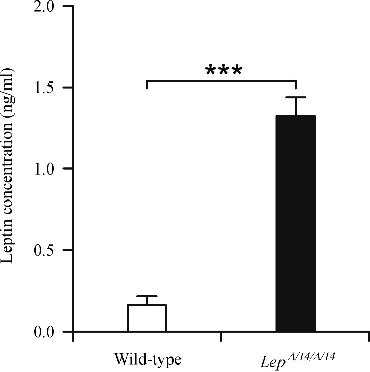 Fig.2