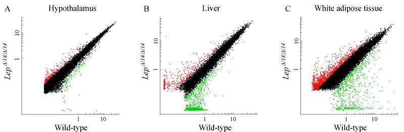 Fig.6