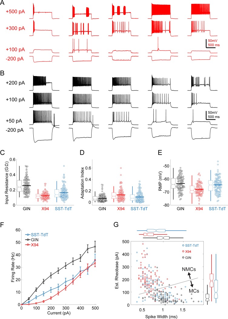 Figure 1—figure supplement 1.