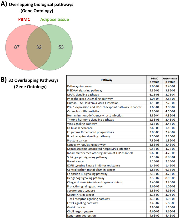 Appendix 2—figure 3.