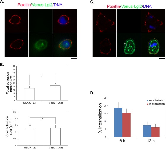 FIGURE 3: