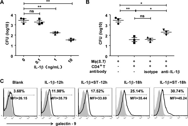 FIG 8