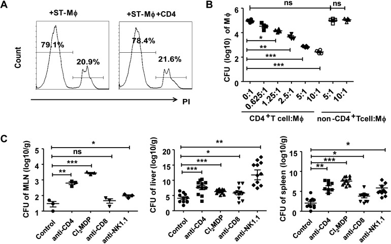 FIG 3