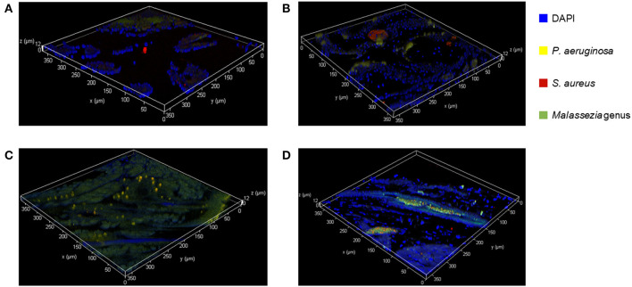 Figure 6