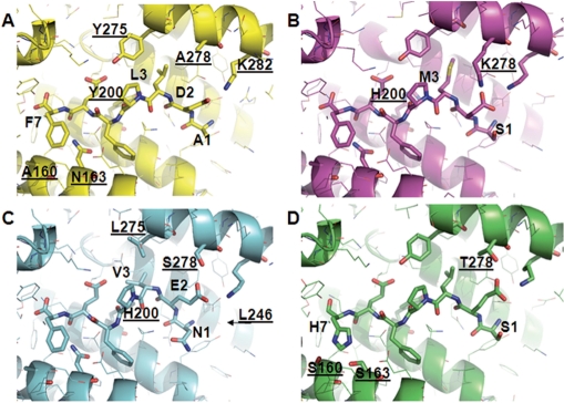 Figure 6.