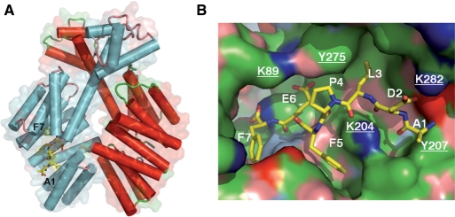 Figure 2.