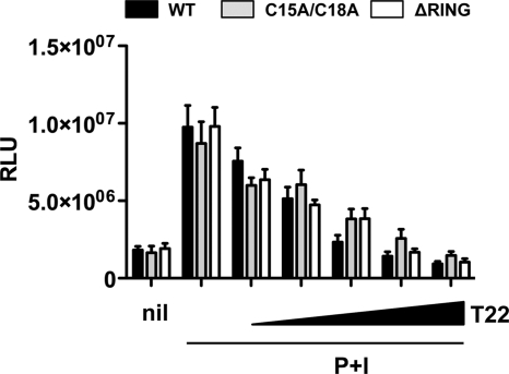 Fig. 12.