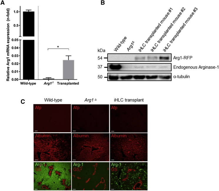 Figure 4