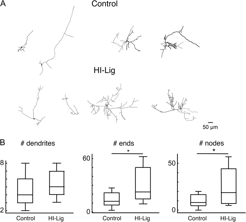 Figure 6.