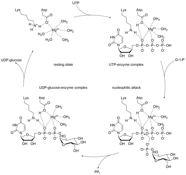 Scheme 2