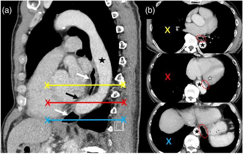 Fig. 2.(