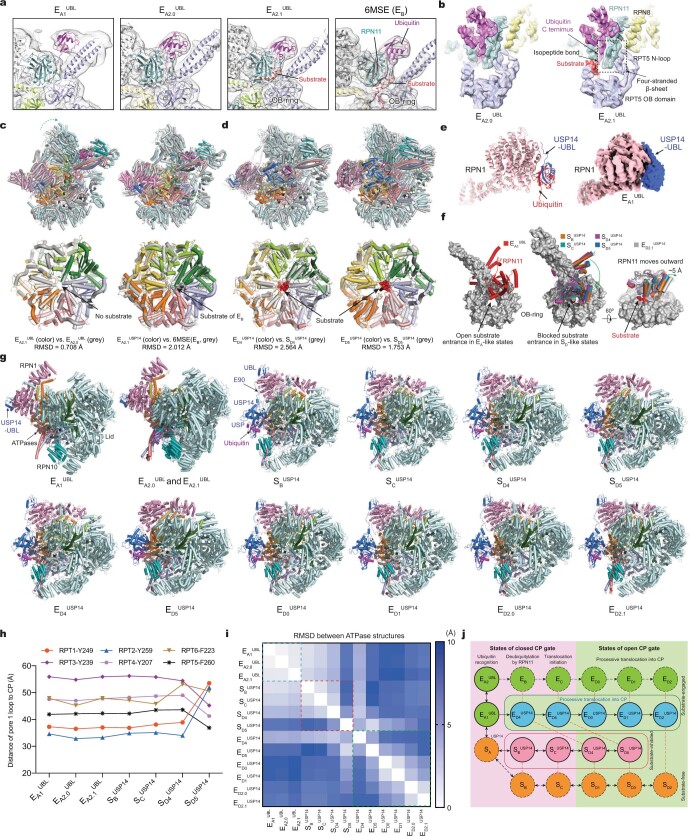 Extended Data Fig. 7