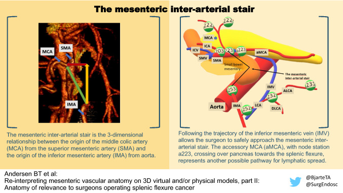 graphic file with name 464_2022_9394_Figa_HTML.jpg